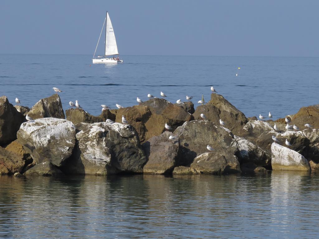 Villino Ermione Ξενοδοχείο Marina Di Pisa Εξωτερικό φωτογραφία