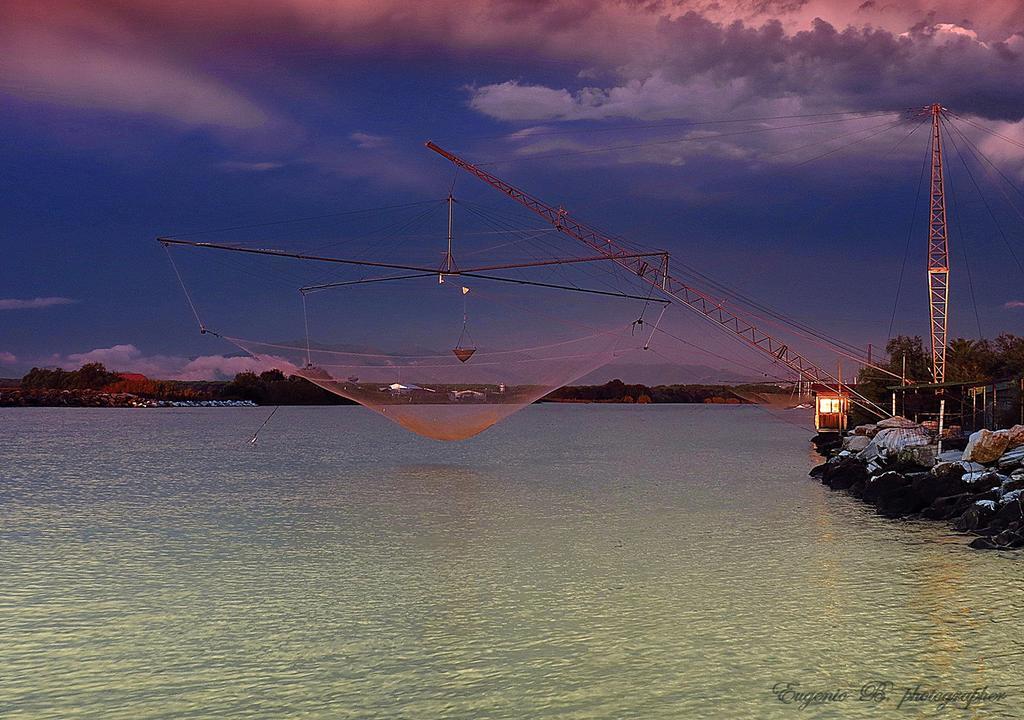 Villino Ermione Ξενοδοχείο Marina Di Pisa Εξωτερικό φωτογραφία