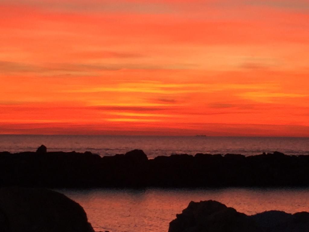 Villino Ermione Ξενοδοχείο Marina Di Pisa Εξωτερικό φωτογραφία